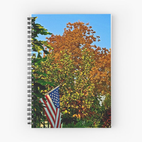 Item preview, Election Day: Socal designed and sold by Chet  King.