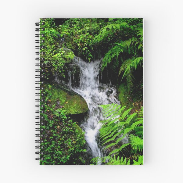 Item preview, Small Mountain Stream designed and sold by NatureGreeting Cards ©ccwri.