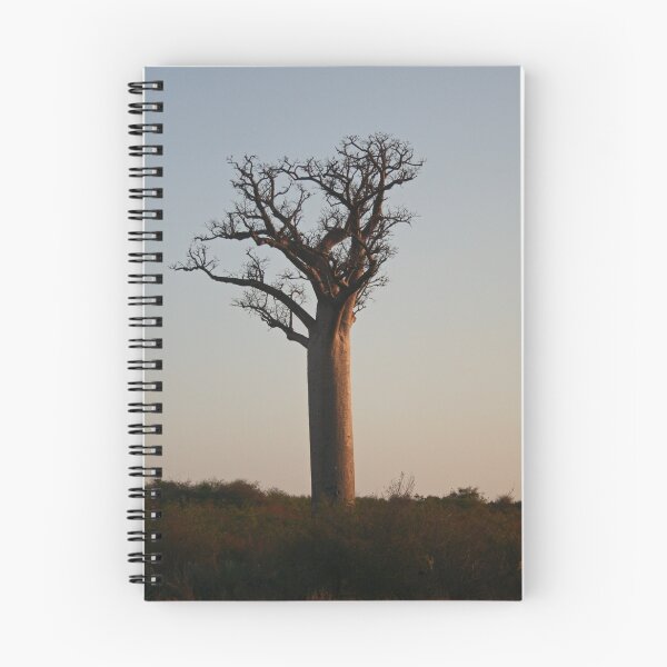 Item preview, Baobab designed and sold by Karen Millard.