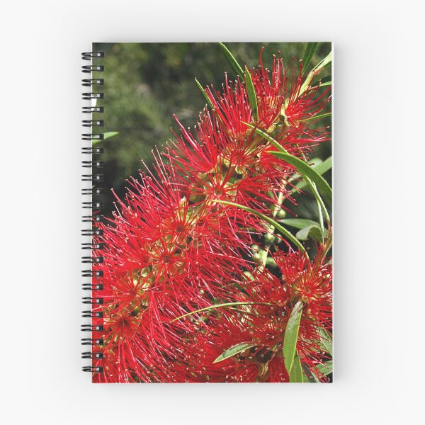 Item preview, Red Callistemon designed and sold by Bev Pascoe.