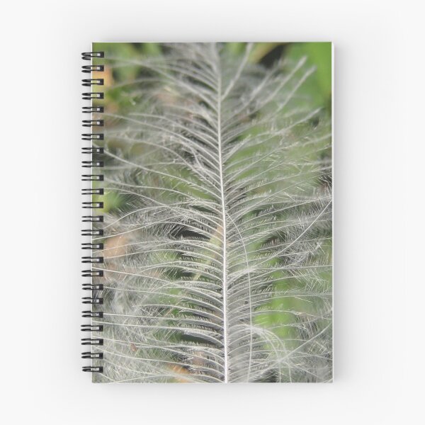 Item preview, found feather in short green grass designed and sold by Laurkat.
