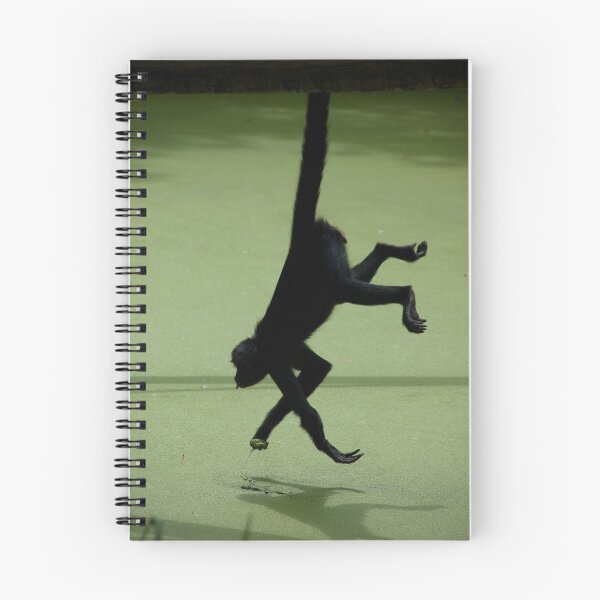 Item preview, Acrobatic Move designed and sold by Brendan Schoon.