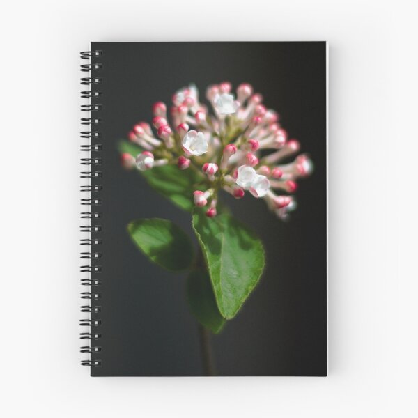 Item preview, Spring Fireworks designed and sold by Kurt Kamka.