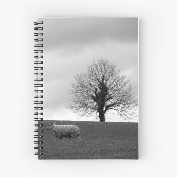 Aperçu de l'œuvre Sheep and Tree créée et vendue par feldore.