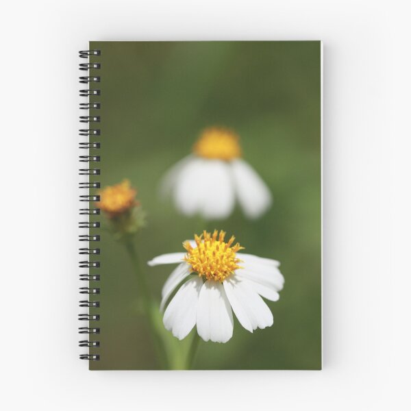 Item preview, another week...HBW designed and sold by malina.