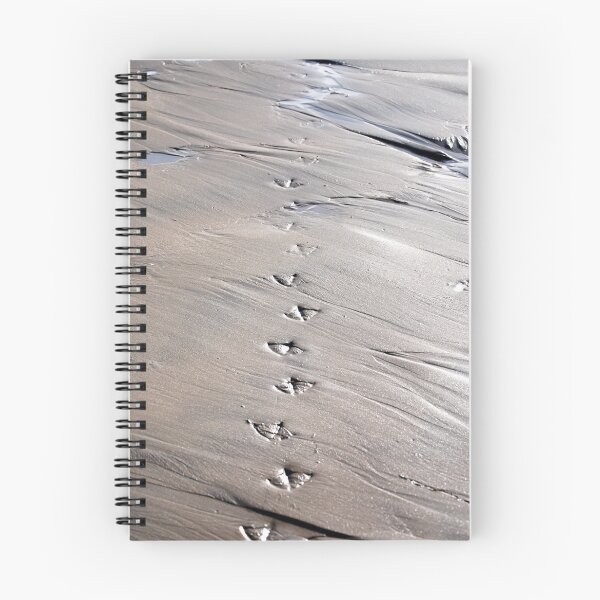 Item preview, Gull Prints in the Sand designed and sold by Carol Barona.