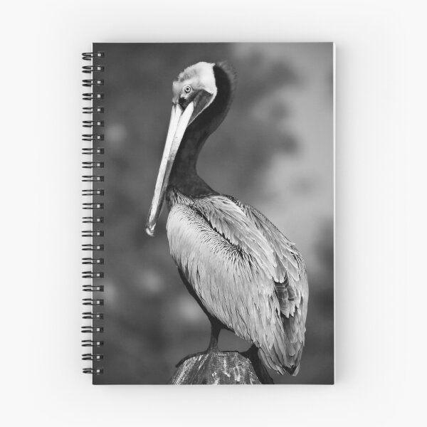 Item preview, Mono Pelican designed and sold by Jonicool.