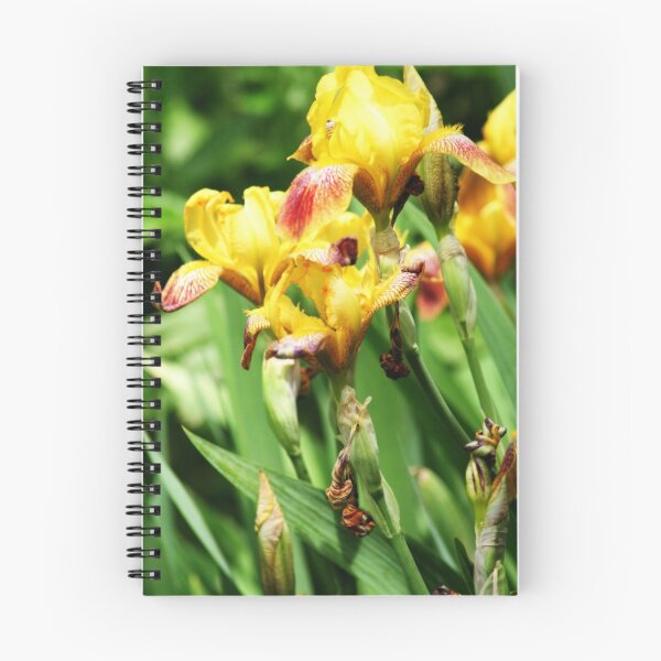 Item preview, YELLOW IRIS  designed and sold by cdudak.