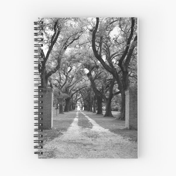 Aperçu de l'œuvre Southern Driveway créée et vendue par Jonicool.