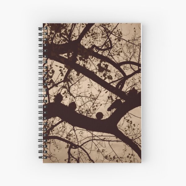 The Birds Spiral Notebook