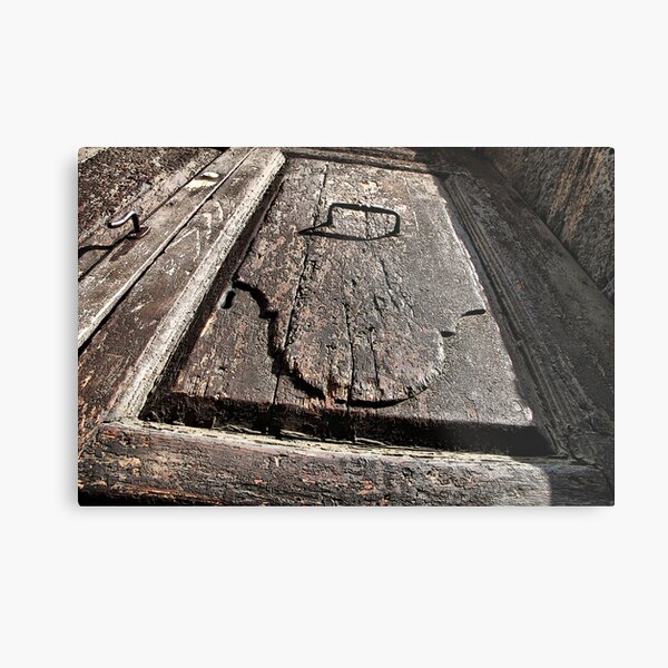 Old door Metal Print