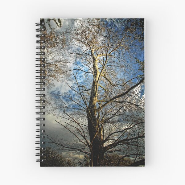 Item preview, Reaching designed and sold by Photography & Emotive Ai.