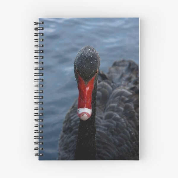 Item preview, Western Australian Black Swan designed and sold by Andreas Koepke.