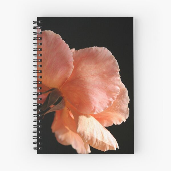Item preview, Nice rear view designed and sold by Kathleen Hill.