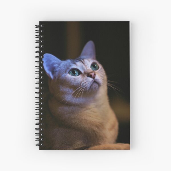wonderment Spiral Notebook