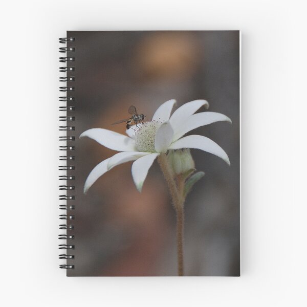 Item preview, Flannel Flower and Fly #2 designed and sold by George Petrovsky.