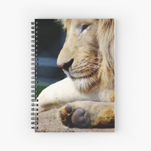 Contemplation Spiral Notebook