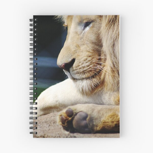 Item preview, Contemplation designed and sold by David Haviland.