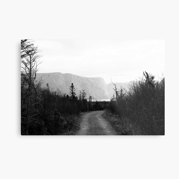 Western Brook Fjord Metal Print