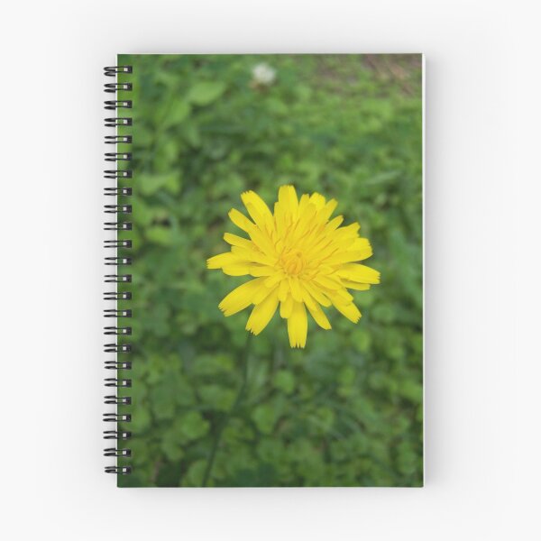 Artikelvorschau, Dandelion bloom entworfen und verkauft von DamianL.