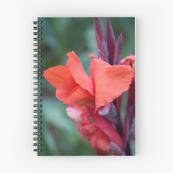 Item preview, Orange Canna Lily designed and sold by Andreas Koepke.
