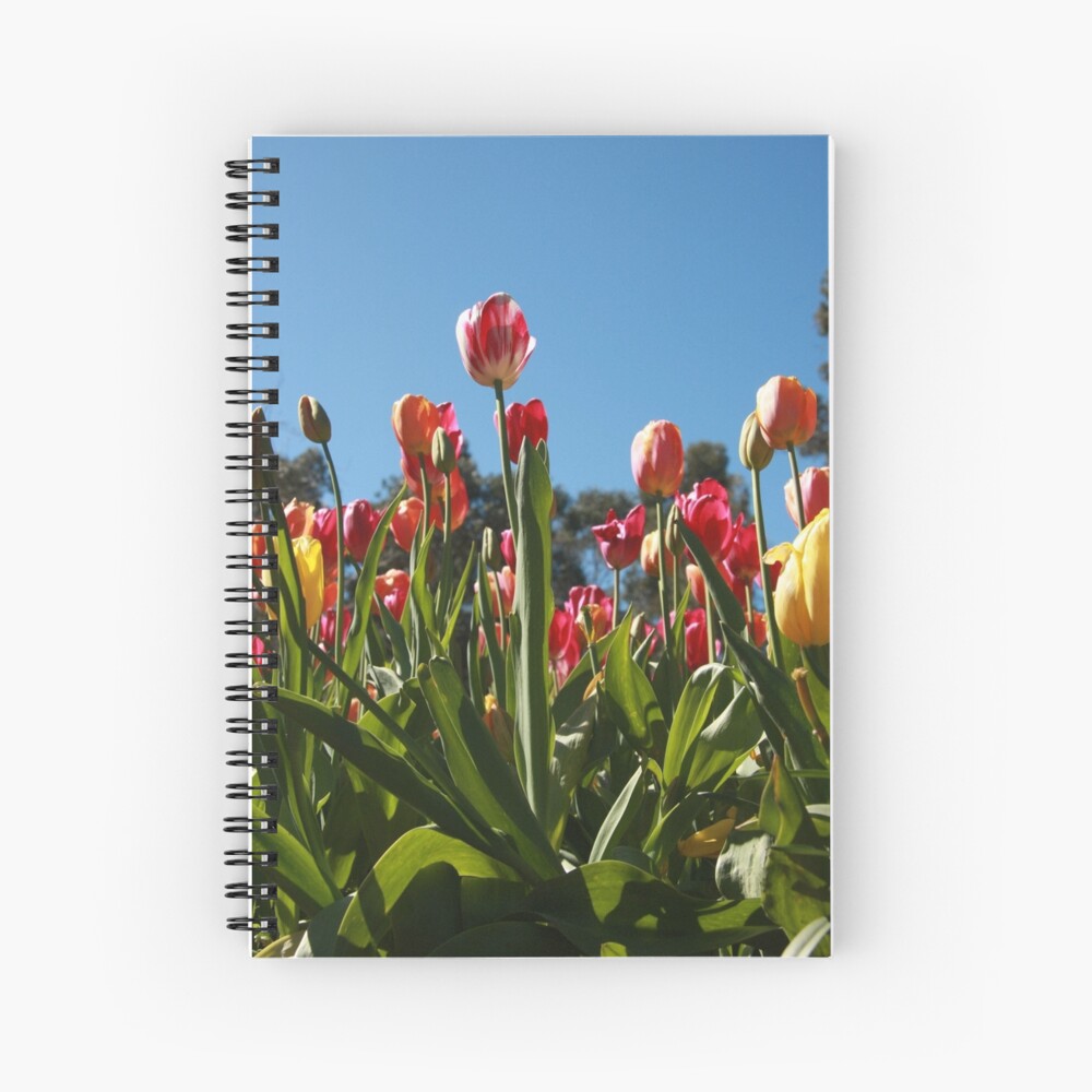 Tulips at Araluen Spiral Notebook