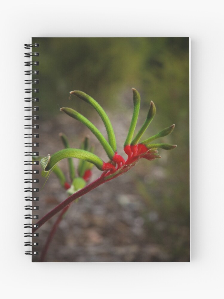 Thumbnail 1 of 3, Journal, Kangaroo Paw designed and sold by mistered.