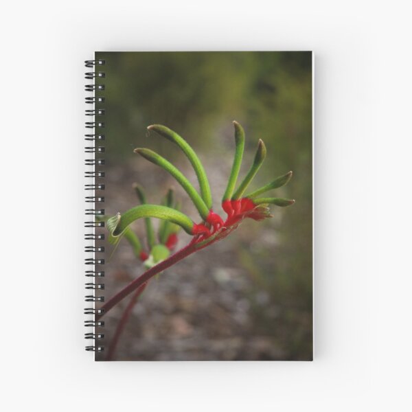 Kangaroo Paw Spiral Notebook
