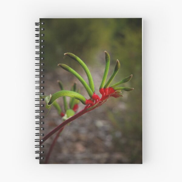 Item preview, Kangaroo Paw designed and sold by Andreas Koepke.