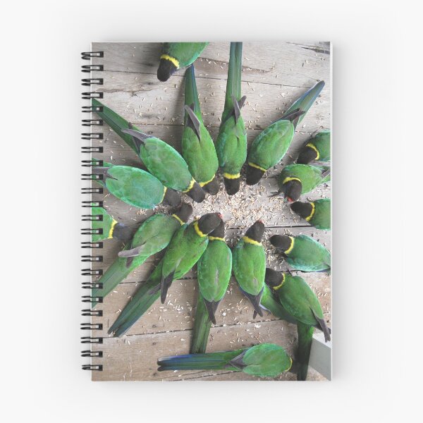 Item preview, Feeding Frenzy designed and sold by Susiepie.