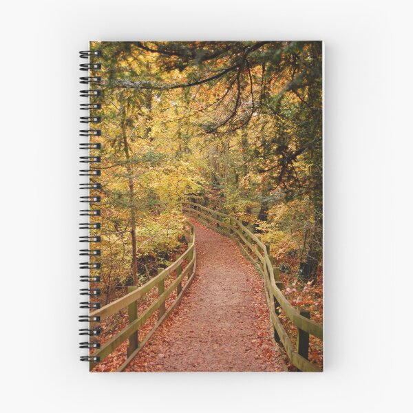 Item preview, Autumn pathway designed and sold by Maureen Brittain.