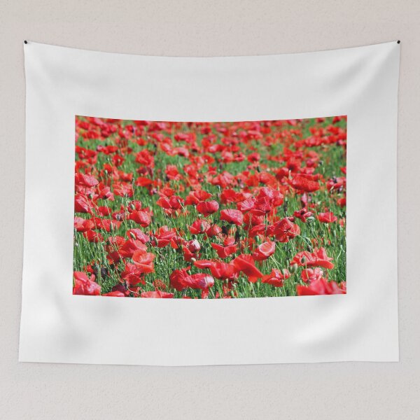 Aperçu de l'œuvre coquelicots fleur pré nature fond créée et vendue par goceris.