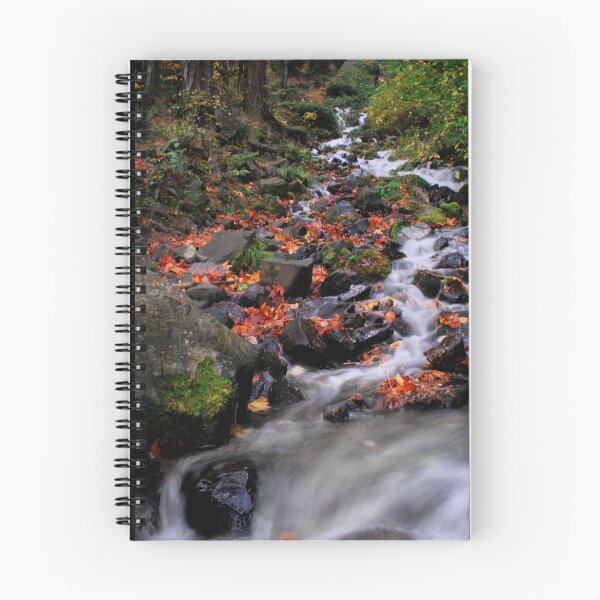 Item preview, Northwest stream designed and sold by Christopher Barker.