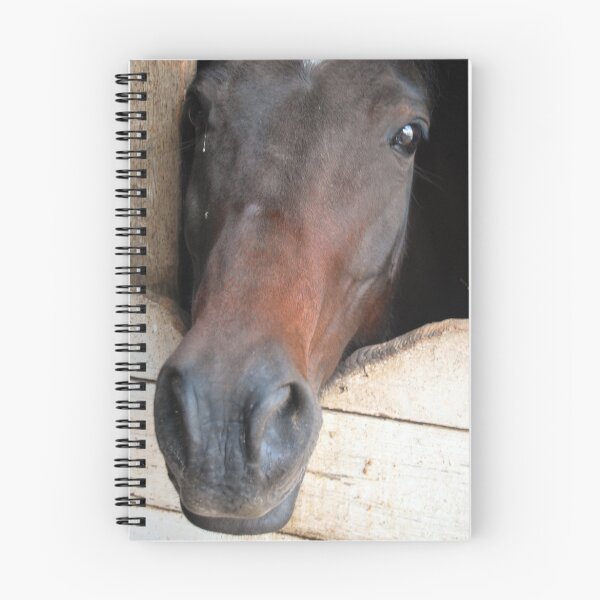 Item preview, Nosey designed and sold by Nori Bucci.