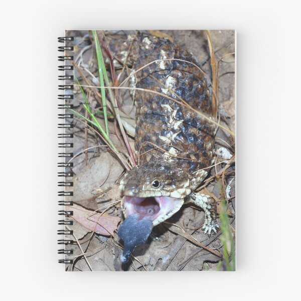 Item preview, Shingleback Tiliqua rugosa designed and sold by Clive.