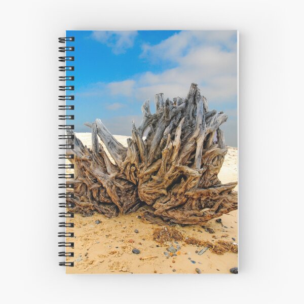 Item preview, Old Stumpy designed and sold by Photography & Emotive Ai.