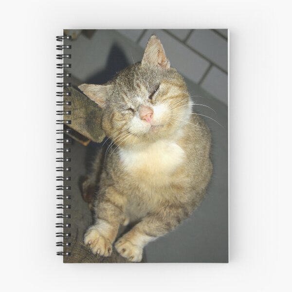 Artikelvorschau, Fröhliche Katze entworfen und verkauft von Marko Palm.
