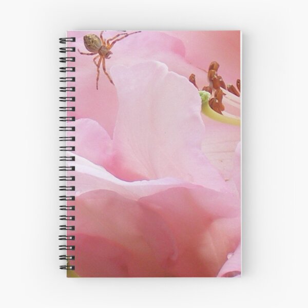 Item preview, spider on rhododendron flower designed and sold by Gaylene Norton.