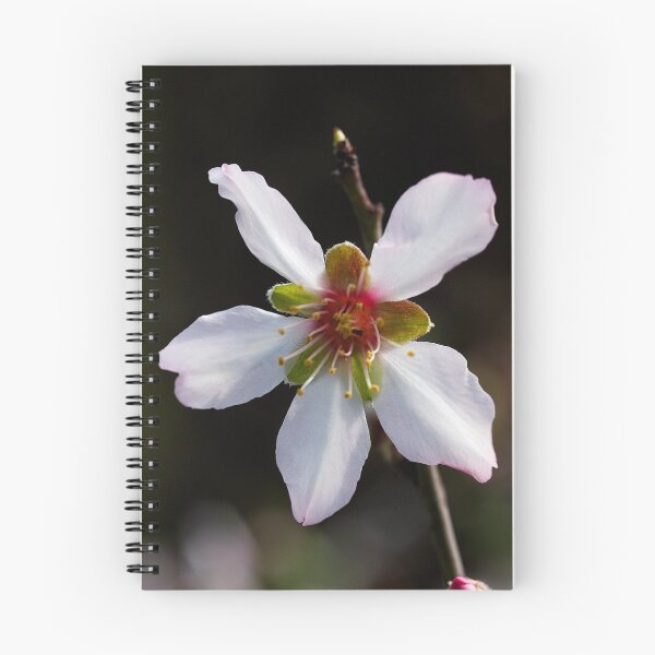 Item preview, White and Pastel. designed and sold by David Platt-Chance.