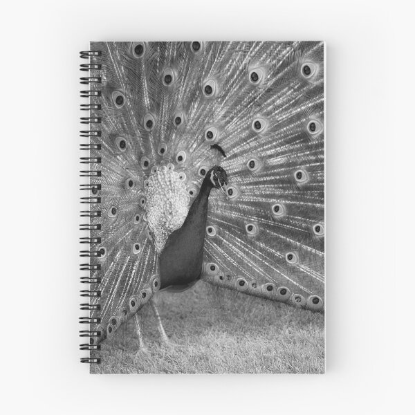 Item preview, Peacock designed and sold by Donal Lyne.