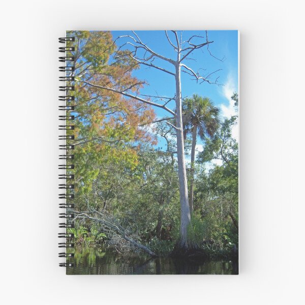 Item preview, Fall in Florida along the River designed and sold by nauticalelf.