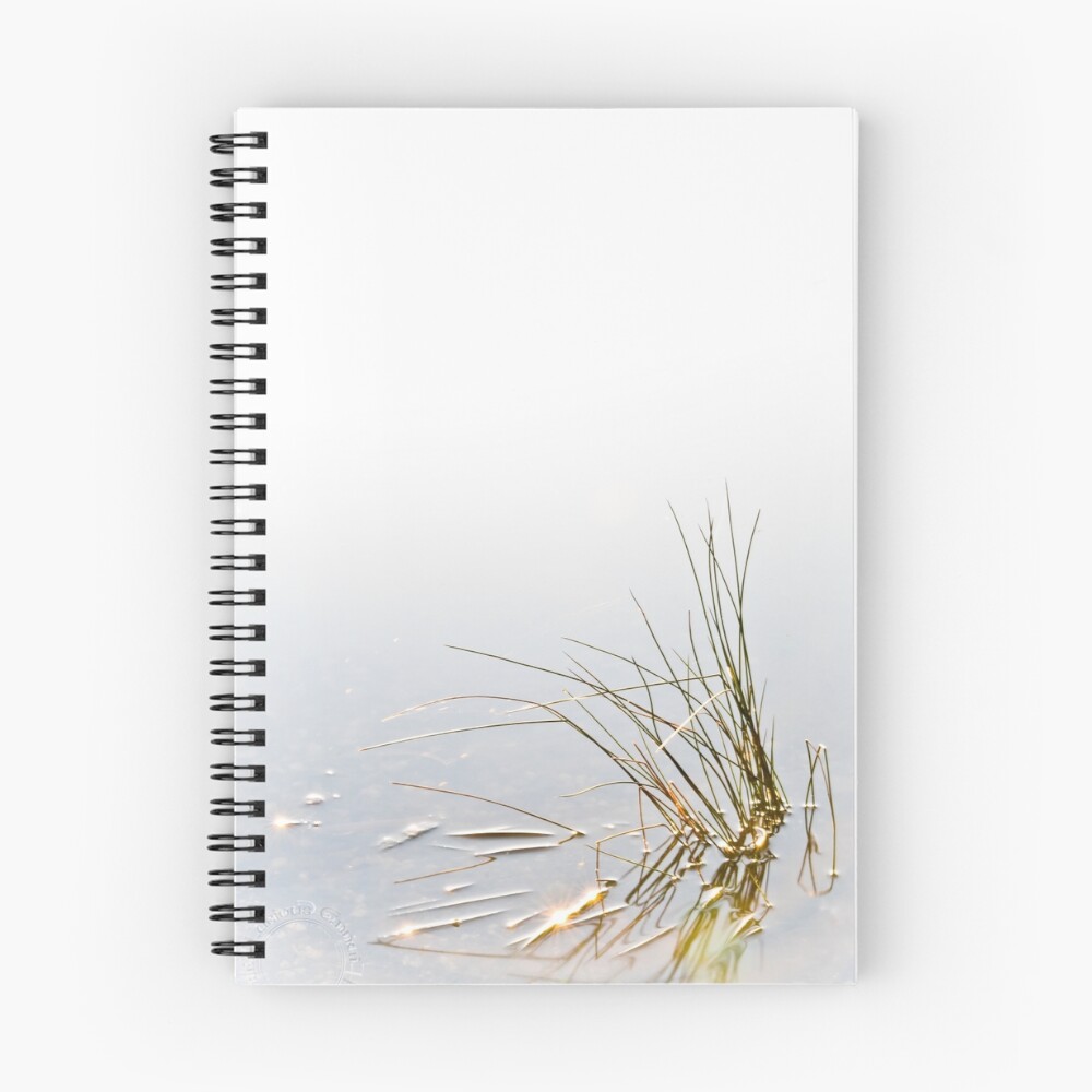 Vista previa del artículo con la obra «Cuaderno de espiral», diseñado y vendido por FuriousEnnui.