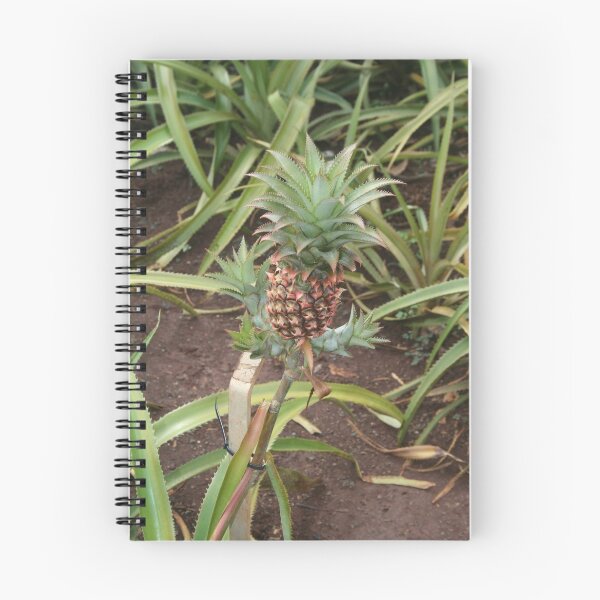Item preview, Baby Pineapple designed and sold by Jen Hendricks.