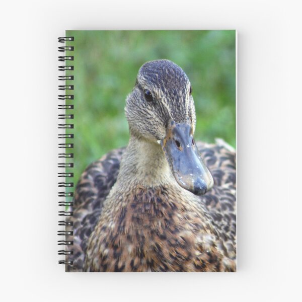 Item preview, MRS MALLARD designed and sold by mlynnd.