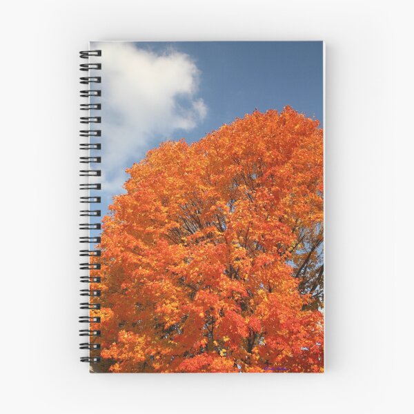 Item preview, Flaming Tree designed and sold by Linda Jackson.