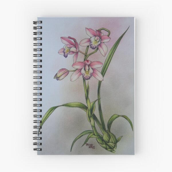 Artikelvorschau, Pink Cybidium Orchid entworfen und verkauft von Philip Holley.