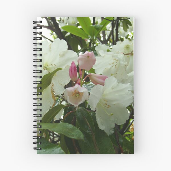 Item preview, Winsome White designed and sold by Skyhorse.