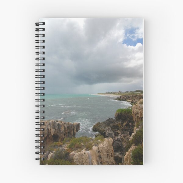 Item preview, Rain Squall at Quinn's Beach designed and sold by Wayne England.