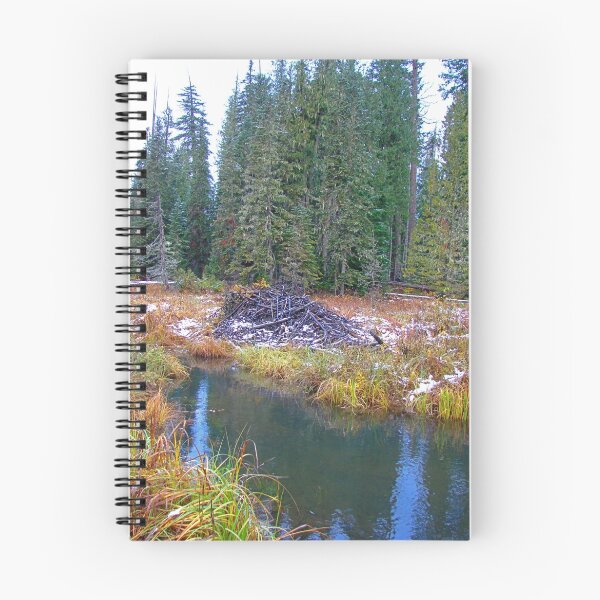 Item preview, BEAVER LODGE NEAR MT designed and sold by Michael Beers.