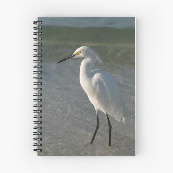 Item preview, Cooling off designed and sold by Karen  Moore.